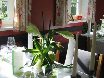 Foto: Vivarium